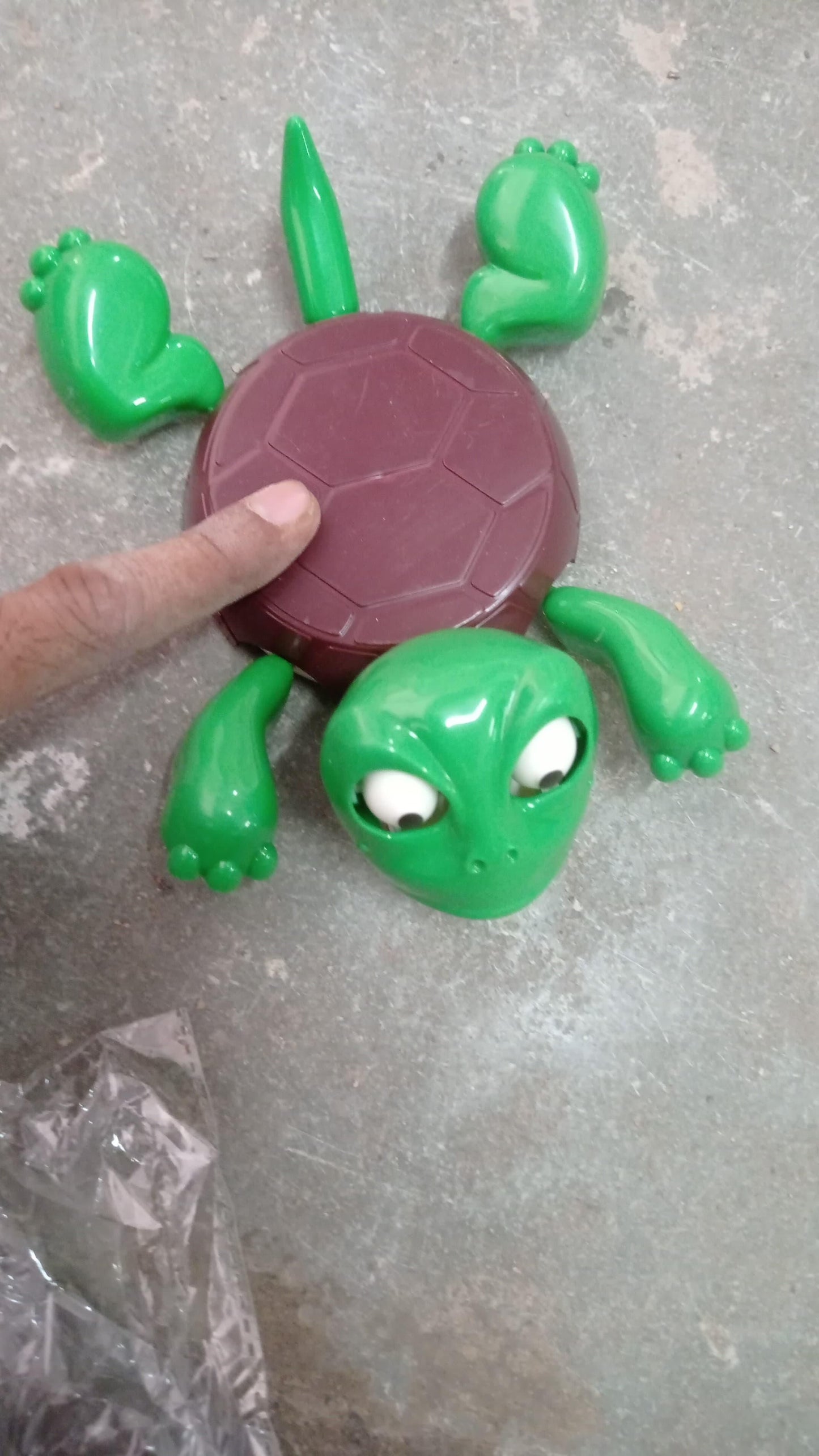 Viral Funny Turtle Coaster