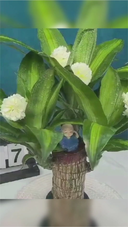 Family Health & Wealth Plant Lucky Wood, Mini Home Plant Decorations